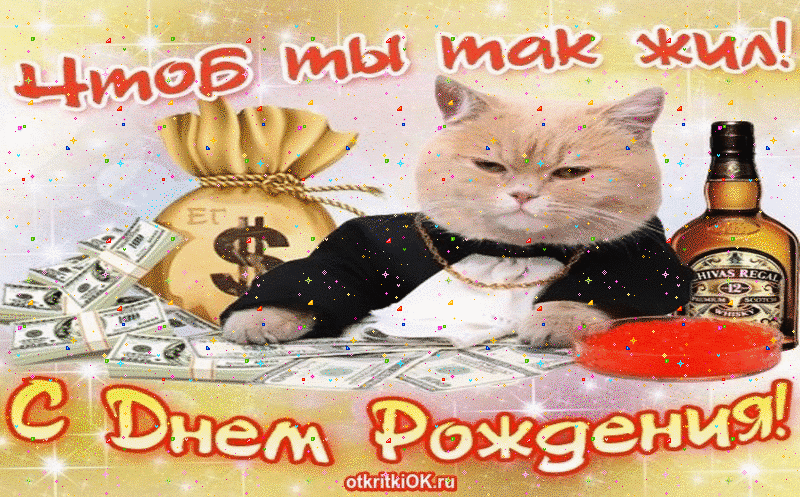 Поздравление на 14 лет с днем рожденья смешные фото 309